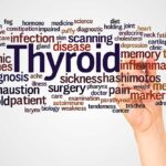 Why TSH Alone Is Not Enough for Thyroid Testing