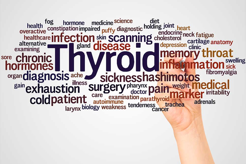 Why TSH Alone Is Not Enough for Thyroid Testing